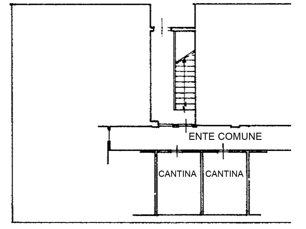 Piantina Barzano cantine