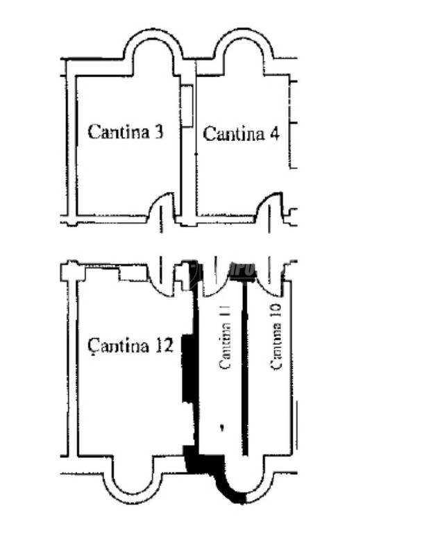 Planimetria Cantina