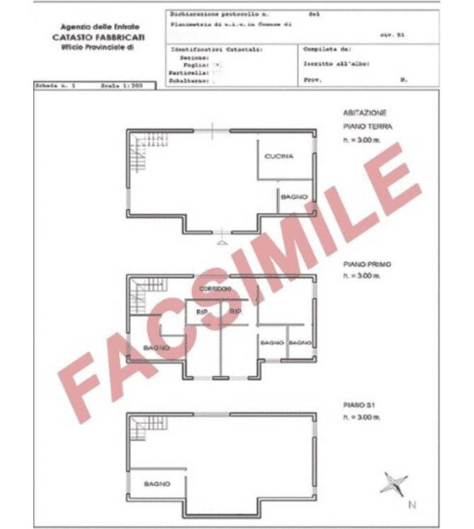 FAC-SIMILE PLANIMETRIA