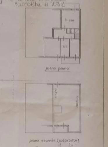 WhatsApp Image 2024-08-07 at 19.04.40.jpeg