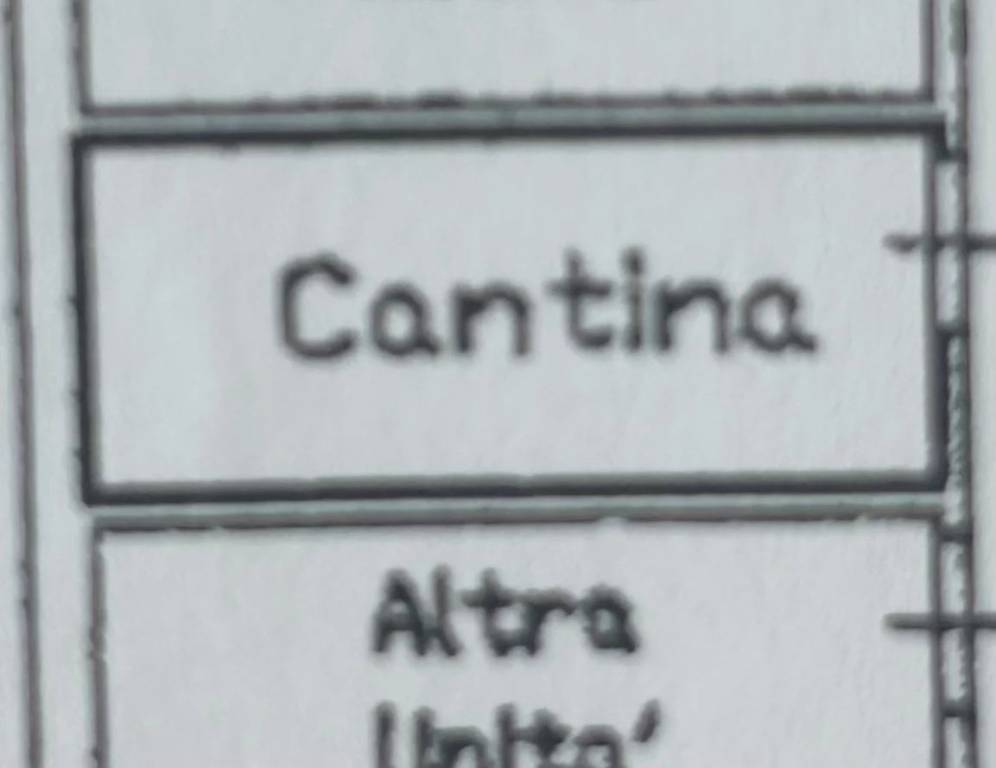 Planimetria cantina 