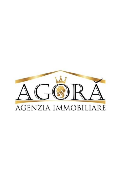 2 Logo definitivo Agora