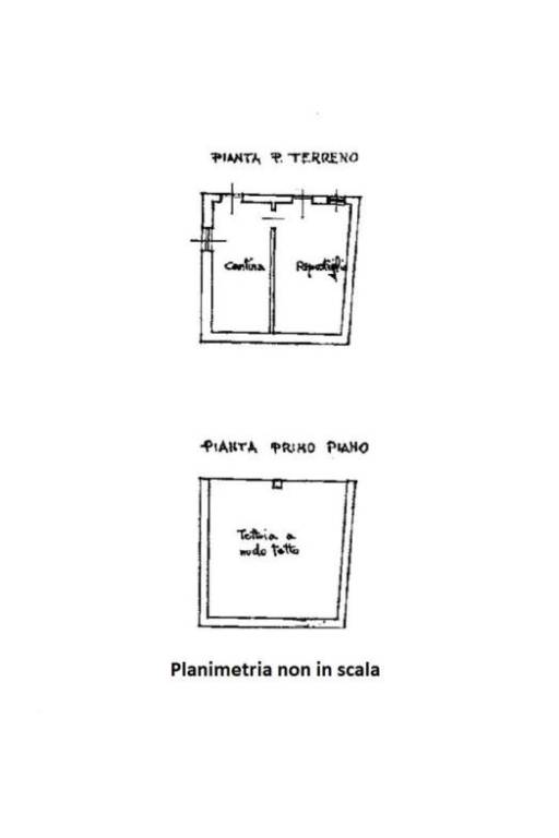 pln dependance