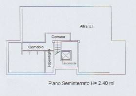 Scansione 21