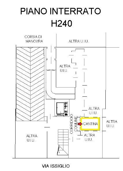 Piantina CANTINA