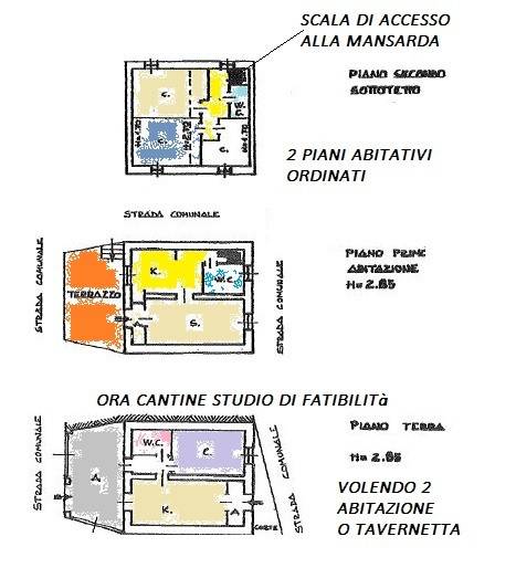 pln-fricciaro-COLL