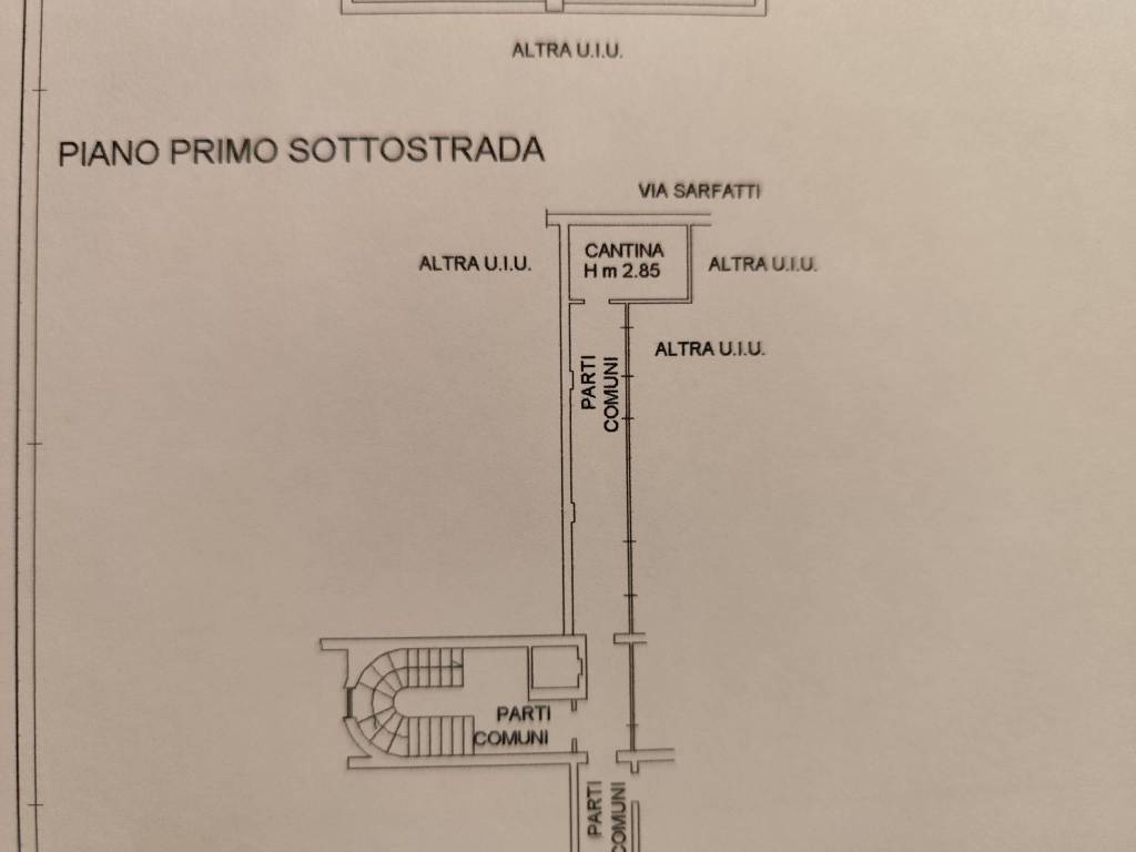 plan sarfatti cantina foto