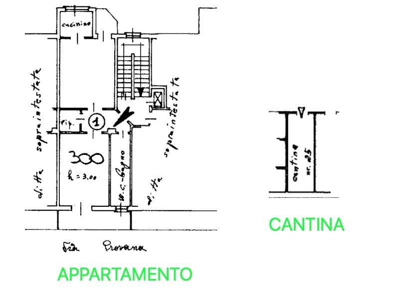 PLANIMETRIA