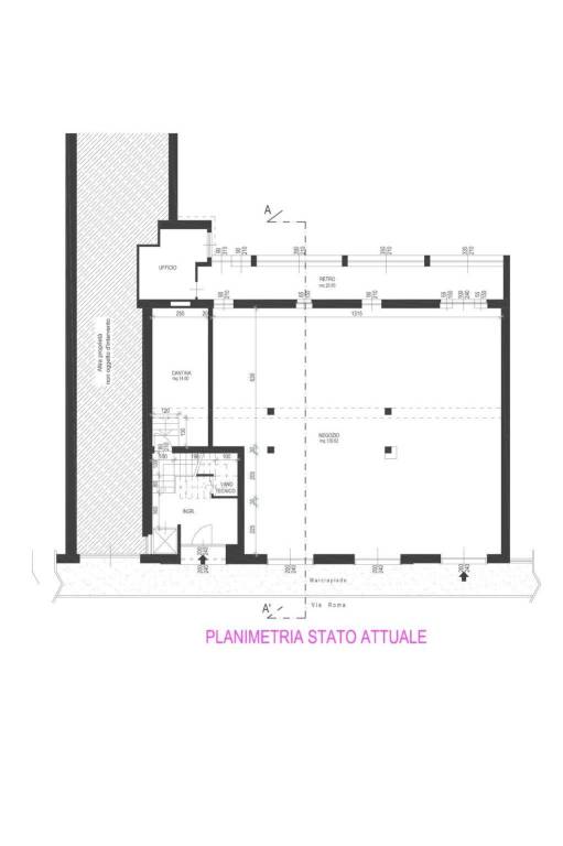 PLANIMETRIA GENERALE ATTUALE 1