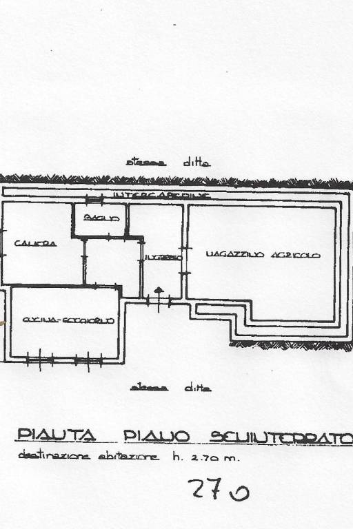 piantina tris