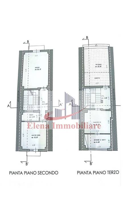 Diapositiva1