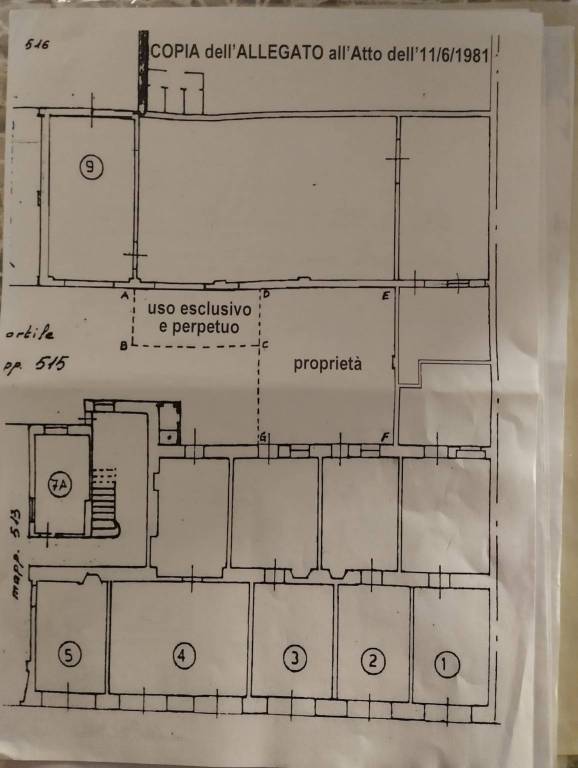 Planimetria cortile