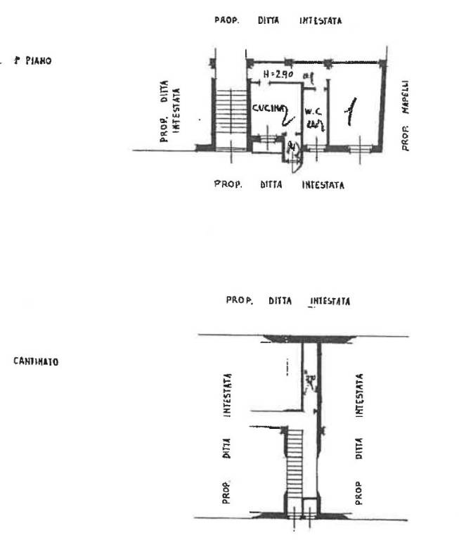 magolfa 12 piantina