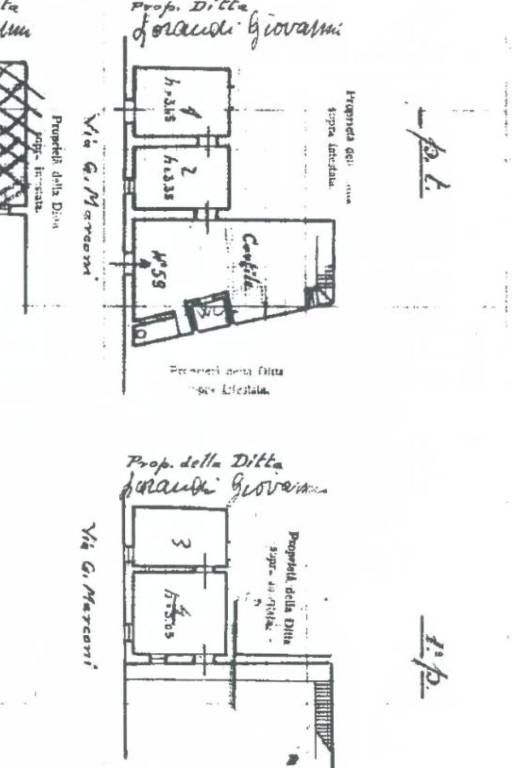 pla lottici 1