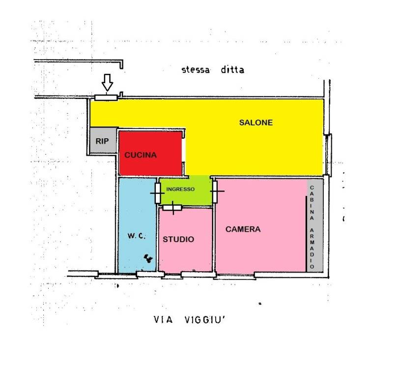 PLN COLORATA