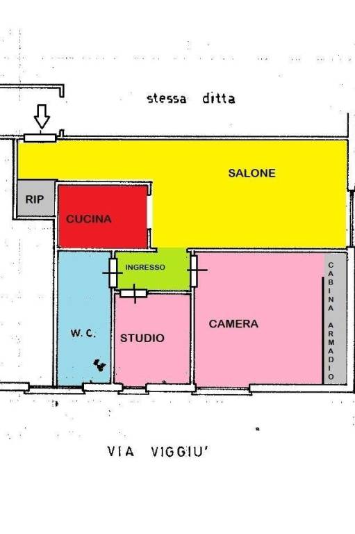 PLN COLORATA