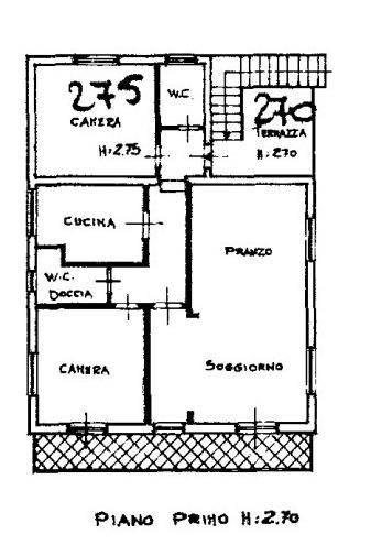 piantine imm.2