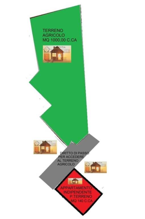 planimetria immobile+terreno agricolo