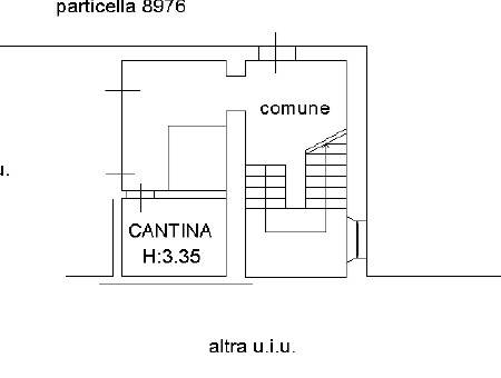 plan cantina