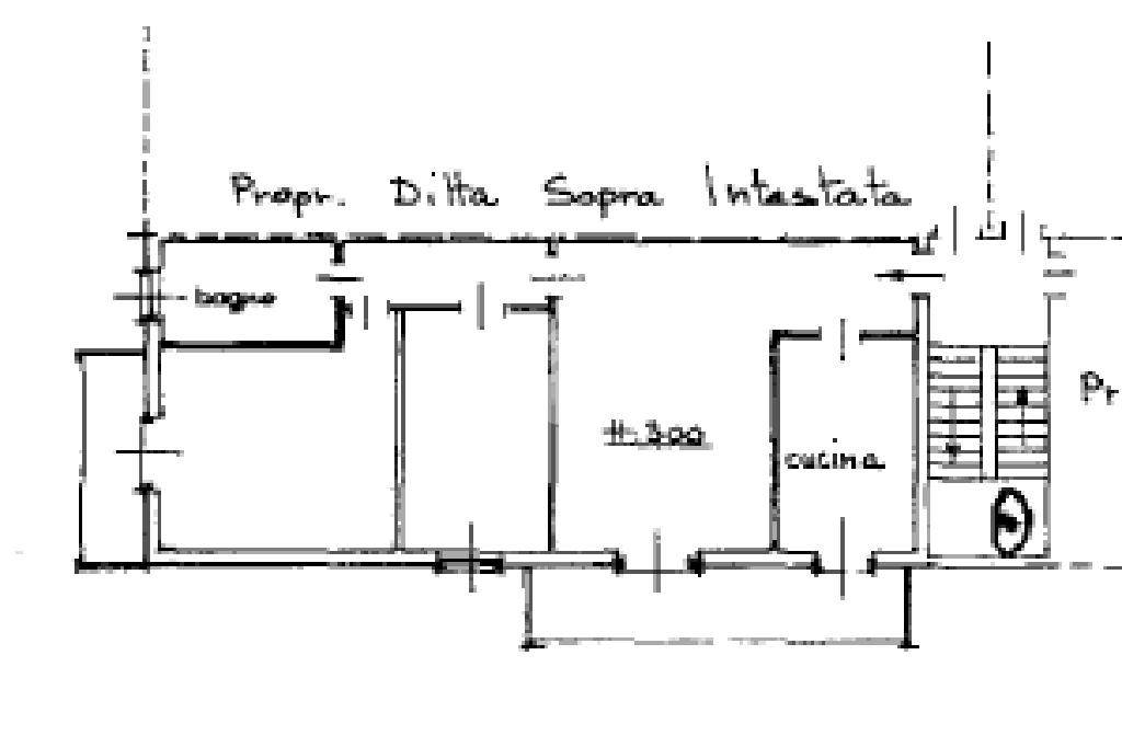 pln