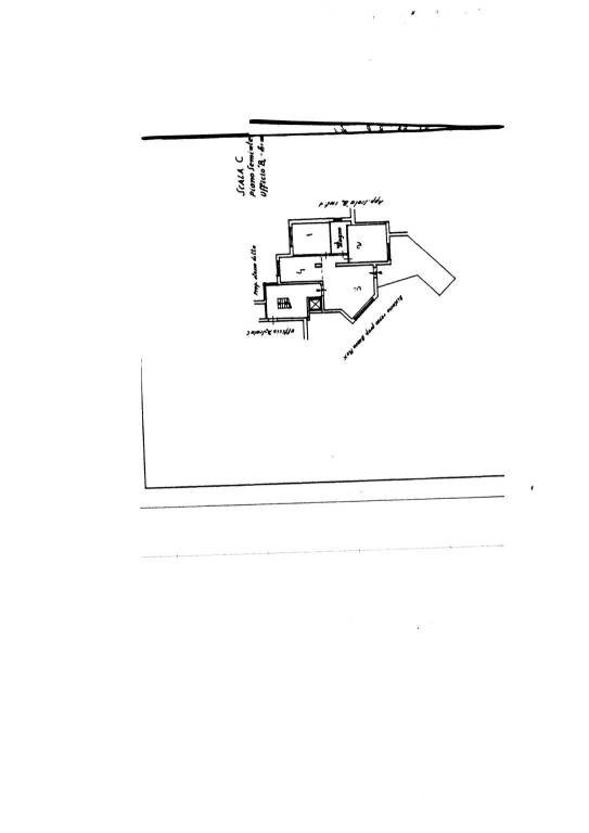 Pianta Pubblicità 1