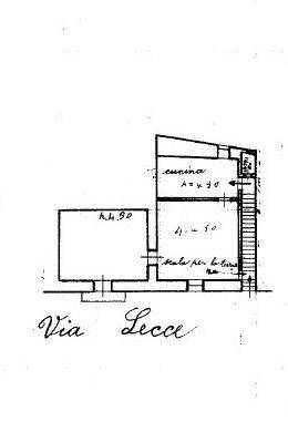 tricase