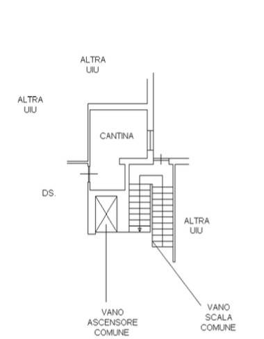 pln cantina