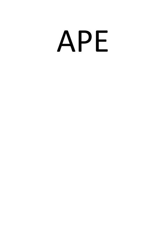 APE 1