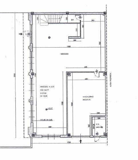 PLAN NEGOZIO