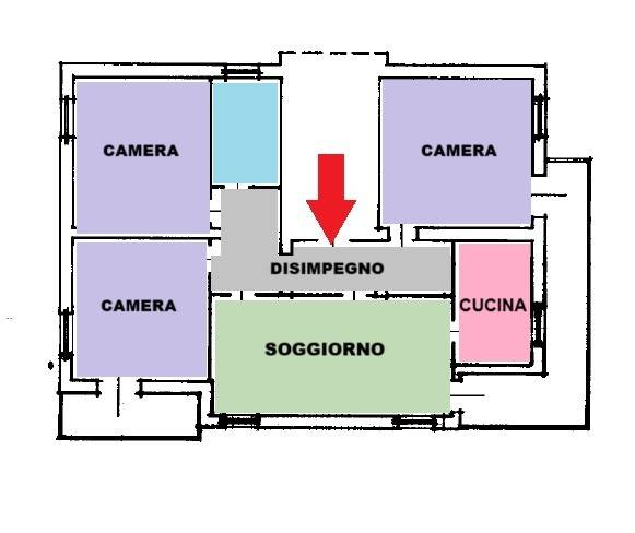 PLAN COLORATA