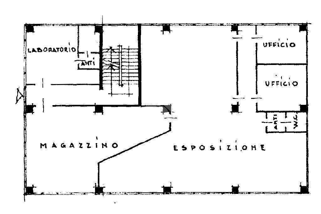 PLANIMETRIA