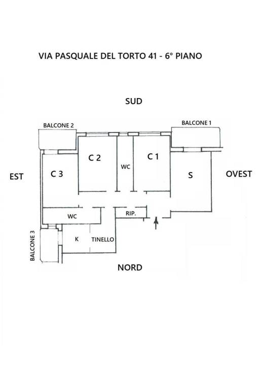 PLAN DEL TORTO web