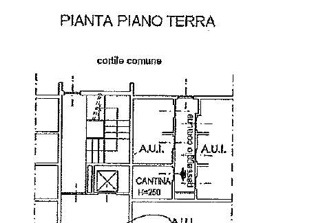 planimetria cantina