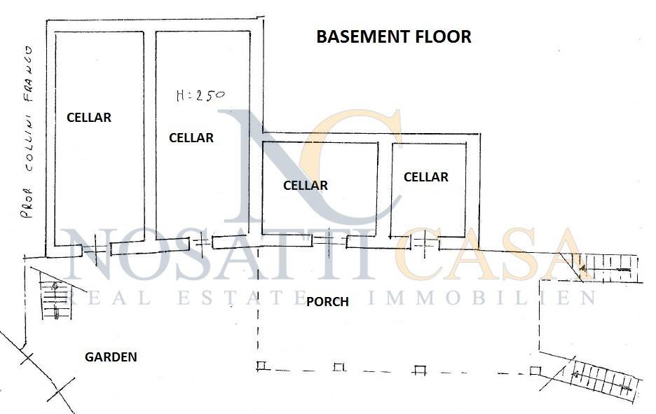 Basement Floor