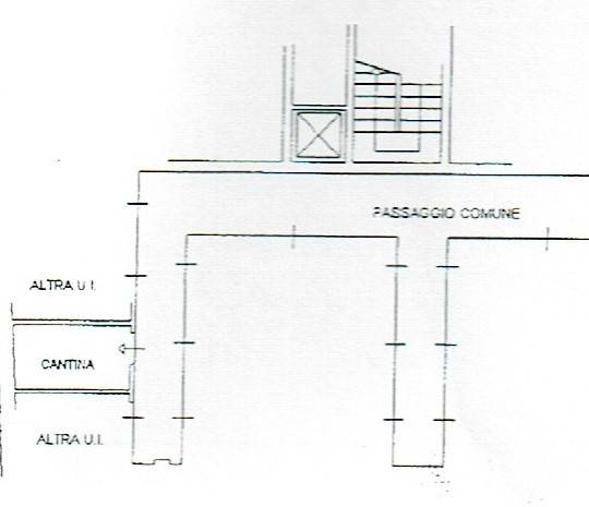 Lessona 9 cantina