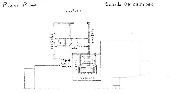 PLN VITTADINI 4