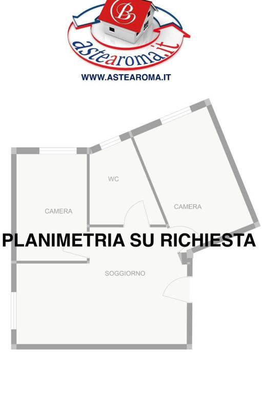 PLANIMETRIA SU RICHIESTA ASTE