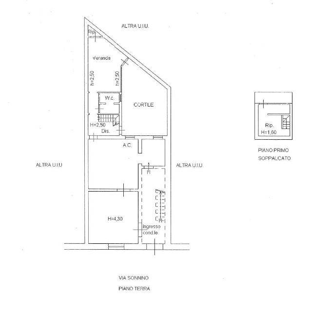 plan tagliata