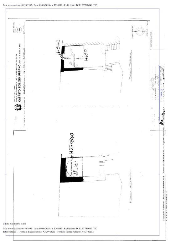 plan daniela 1