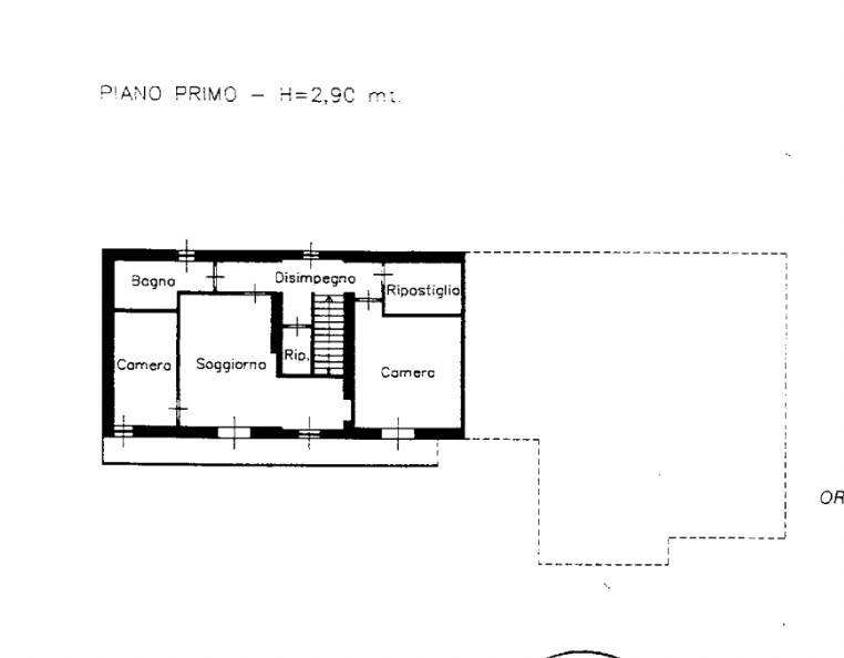 PLN P1