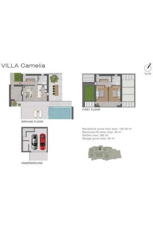 camelia plan