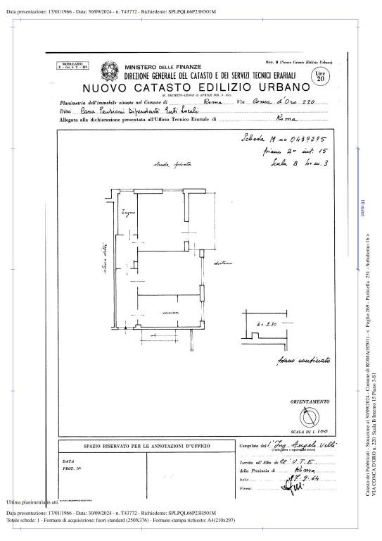 Pianta Conca d'Oro 1