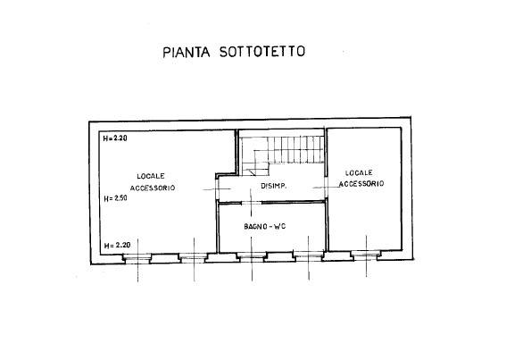 PLN x sito primo piano