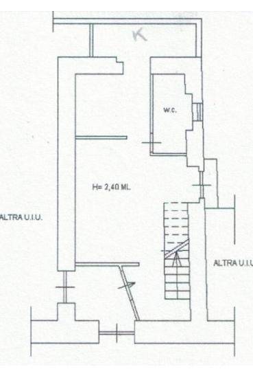 pianta - Copia