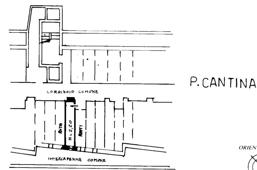 cantina pellegrini 