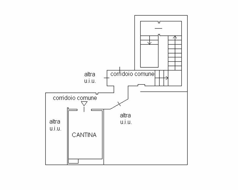 Planimetria Cantina