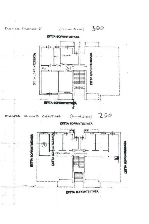 Immobiliare Bosco - planimetria alloggio e cantina