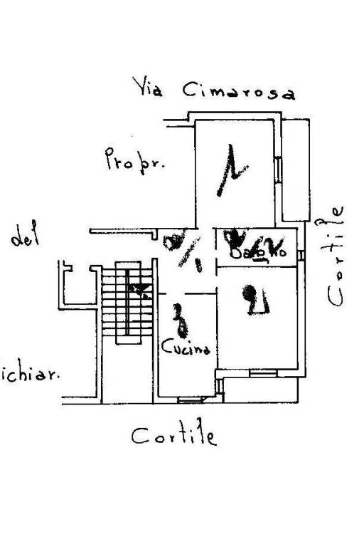 pianta cimarosa