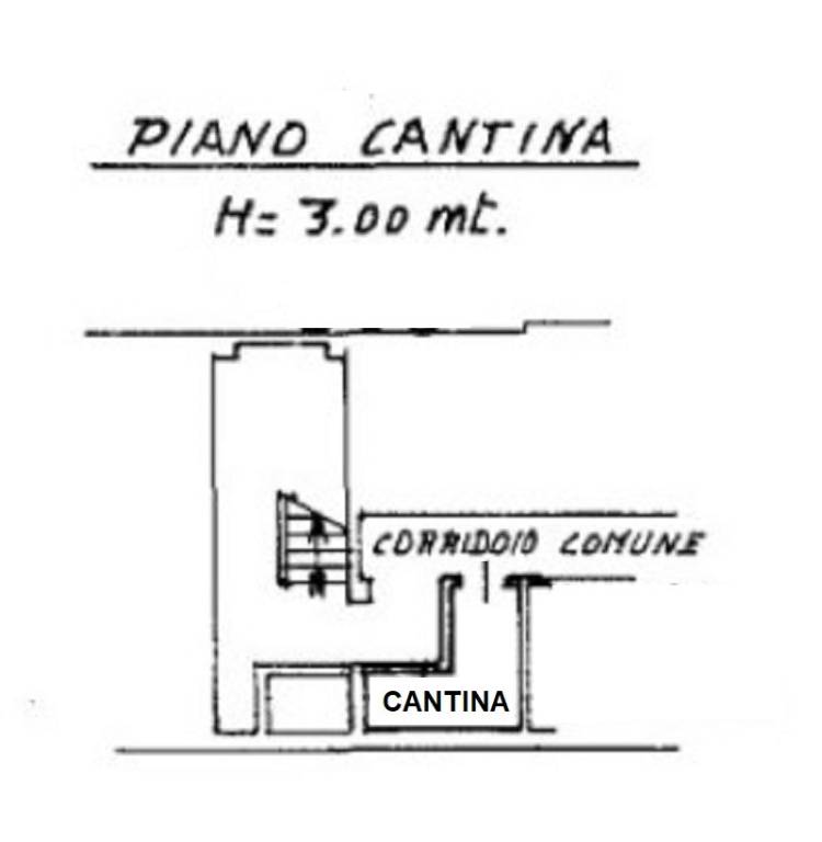 PLANIMETRIA CANTINA