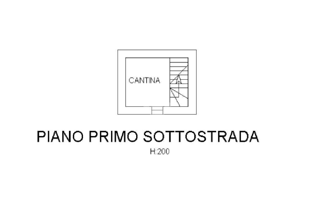 PLANIMETRIA CANTINA